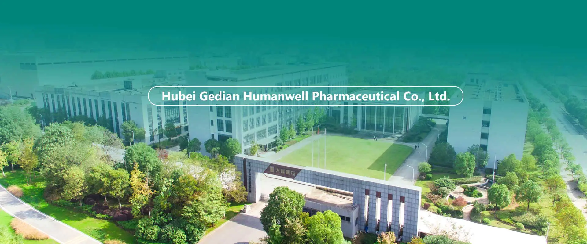 China API, Intermediet, Pabrik Formulasi